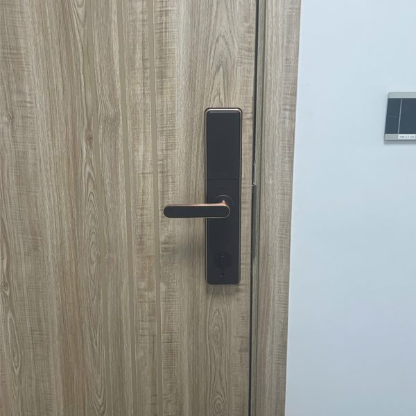 Khóa cửa vân tay Kardos SmartLock G13 Viền Đồng